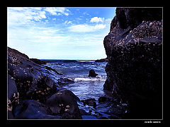 photo "sea"