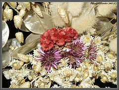 фото "Bouquet"
