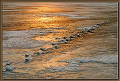 фото "Апрель (4)"