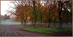фото "at the other half of  the world.."