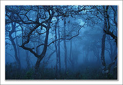 photo "the haunts of ghost"