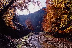 фото "Pyrenees"