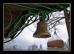photo "Small, but sonorous"