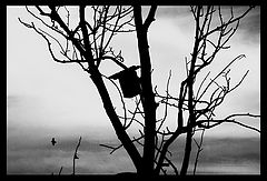 photo "Leaving home"