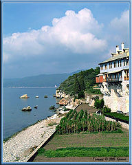 photo "garden on the beach"