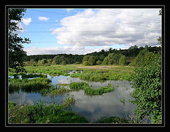 photo "Wires above a pond"