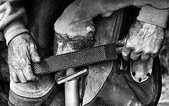 photo "Hands at Work"
