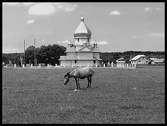 фото "Конь и церковь (вариант)"