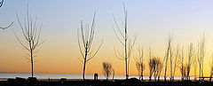photo "Spring"