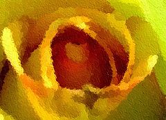 photo "Birth of a Rose"