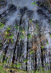 photo "Untitled photo"