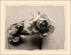 photo "Untitled photo"