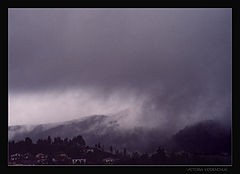 фото "Rain"