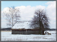 фото "Old barn"