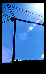 фото "guardian"