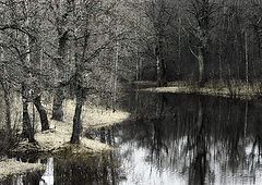 photo "Untitled photo"