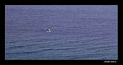 photo "simplicity"