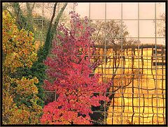 photo "Automnal reflection"