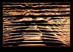photo "In the golden of the sea..."