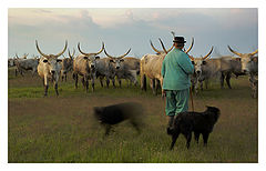 photo "Hortobбgy"