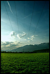 photo "lifelines"