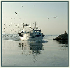 photo "coming back to port..."