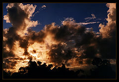 фото "Colors of the nature..."