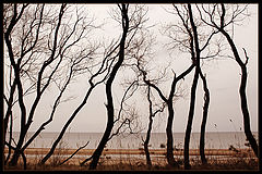 фото "Вырваться к морю"