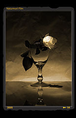 photo "wine glass & rose"