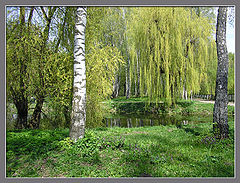 фото "парк"