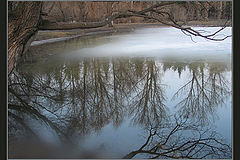 photo "snow"