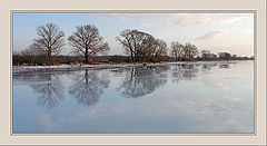 photo "Spring"