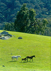 фото "EQUS"