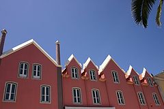 photo "Pink houses"