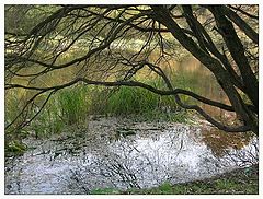 photo "The mirror"