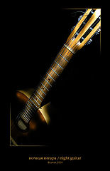 photo "night guitar"
