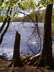 фото "Lake"