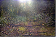 photo "l o s t"
