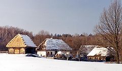 photo "the Winter Family"
