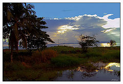 photo "Last light rays"