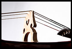 photo "The Bridge"