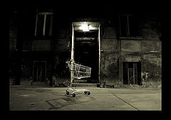 photo "waiting for you"