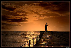 photo "After the rain..."