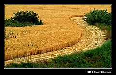 фото "Зигзаг"