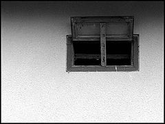 фото "The window"