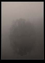 фото "*"