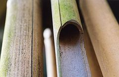 фото "Wood Wind Chimes"