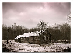 photo "Lonely"