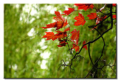 photo "Untitled photo"