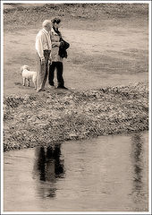 photo "old friends"